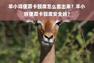 羊小咩便荔卡额度怎么套出来？羊小咩便荔卡额度安全吗？