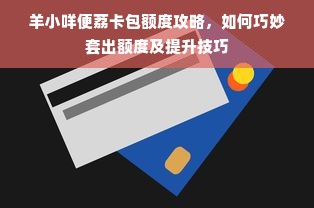 羊小咩便荔卡包额度攻略，如何巧妙套出额度及提升技巧