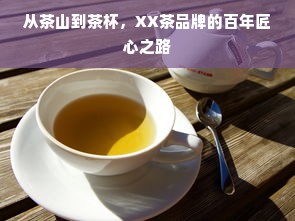 从茶山到茶杯，XX茶品牌的百年匠心之路