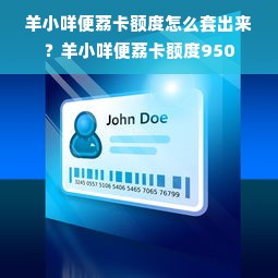 羊小咩便荔卡额度怎么套出来？羊小咩便荔卡额度950
