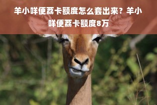 羊小咩便荔卡额度怎么套出来？羊小咩便荔卡额度8万