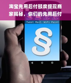 淘宝先用后付额度提现商家揭秘，你们的先用后付额度是多少？