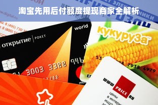淘宝先用后付额度提现商家全解析
