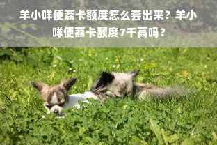 羊小咩便荔卡额度怎么套出来？羊小咩便荔卡额度7千高吗？