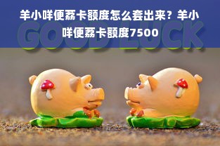 羊小咩便荔卡额度怎么套出来？羊小咩便荔卡额度7500