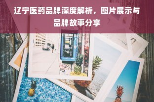 辽宁医药品牌深度解析，图片展示与品牌故事分享