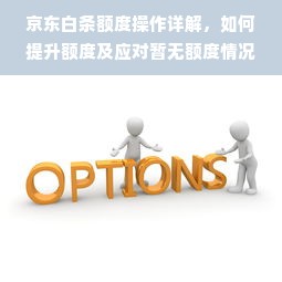 京东白条额度操作详解，如何提升额度及应对暂无额度情况