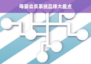 母婴会员系统品牌大盘点