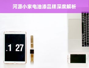 河源小家电油漆品牌深度解析