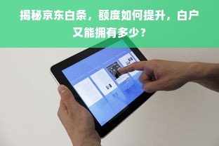 揭秘京东白条，额度如何提升，白户又能拥有多少？