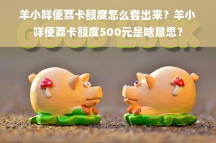羊小咩便荔卡额度怎么套出来？羊小咩便荔卡额度500元是啥意思？