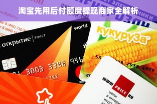 淘宝先用后付额度提现商家全解析