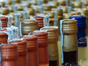南阳特产白酒有哪些品牌？手把手教你选酒指南
