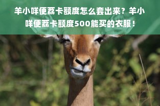 羊小咩便荔卡额度怎么套出来？羊小咩便荔卡额度500能买的衣服！