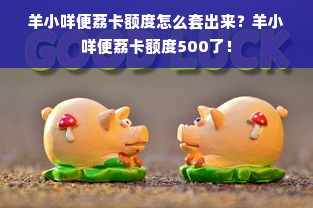 羊小咩便荔卡额度怎么套出来？羊小咩便荔卡额度500了！