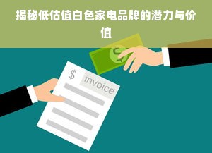 揭秘低估值白色家电品牌的潜力与价值