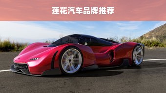 莲花汽车品牌推荐