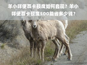 羊小咩便荔卡额度如何套现？羊小咩便荔卡额度500能省多少钱？