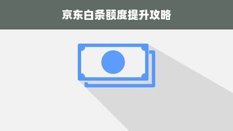 京东白条额度提升攻略