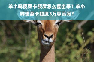 羊小咩便荔卡额度怎么套出来？羊小咩便荔卡额度3万算高吗？