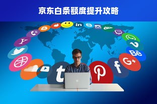 京东白条额度提升攻略