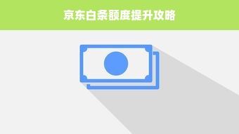 京东白条额度提升攻略