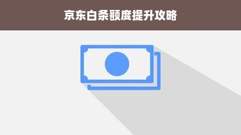 京东白条额度提升攻略