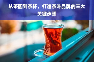 从茶园到茶杯，打造茶叶品牌的三大关键步骤