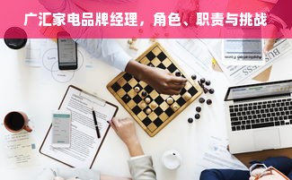 广汇家电品牌经理，角色、职责与挑战