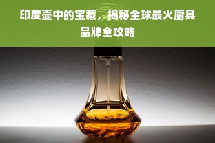 印度壶中的宝藏，揭秘全球最火厨具品牌全攻略