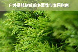 户外品牌树叶的多面性与实用指南