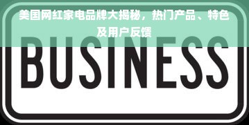 美国网红家电品牌大揭秘，热门产品、特色及用户反馈