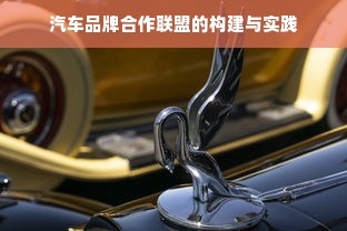 汽车品牌合作联盟的构建与实践