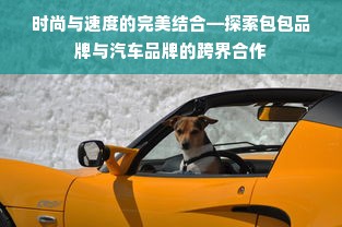 时尚与速度的完美结合—探索包包品牌与汽车品牌的跨界合作