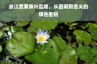 浙江蔬果茶叶品牌，从田间到舌尖的绿色密码
