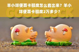 羊小咩便荔卡额度怎么套出来？羊小咩便荔卡额度2万多少？