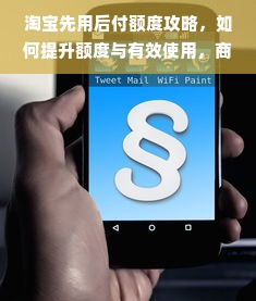 淘宝先用后付额度攻略，如何提升额度与有效使用，商家操作指南
