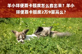 羊小咩便荔卡额度怎么套出来？羊小咩便荔卡额度2万9算高么？