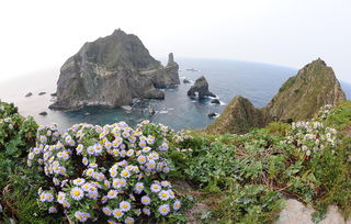琼海铁观音，藏在海南岛东部的茶中瑰宝