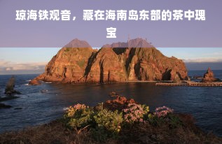 琼海铁观音，藏在海南岛东部的茶中瑰宝