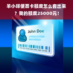 羊小咩便荔卡额度怎么套出来？我的额度25000元！