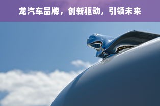 龙汽车品牌，创新驱动，引领未来