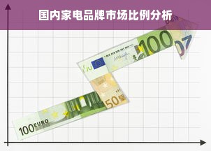 国内家电品牌市场比例分析