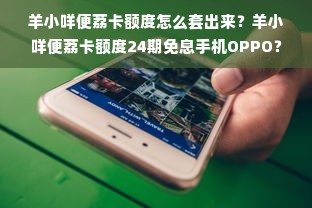 羊小咩便荔卡额度怎么套出来？羊小咩便荔卡额度24期免息手机OPPO？