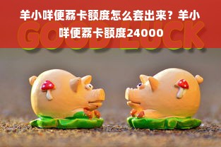 羊小咩便荔卡额度怎么套出来？羊小咩便荔卡额度24000