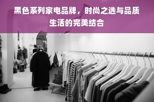 黑色系列家电品牌，时尚之选与品质生活的完美结合