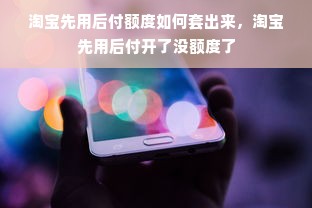 淘宝先用后付额度如何套出来，淘宝先用后付开了没额度了