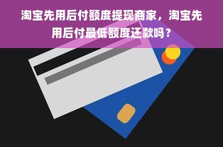 淘宝先用后付额度提现商家，淘宝先用后付最低额度还款吗？