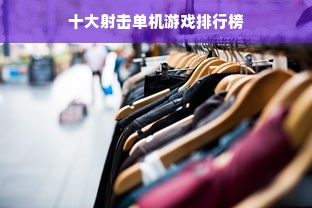 十大射击单机游戏排行榜