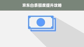 京东白条额度提升攻略